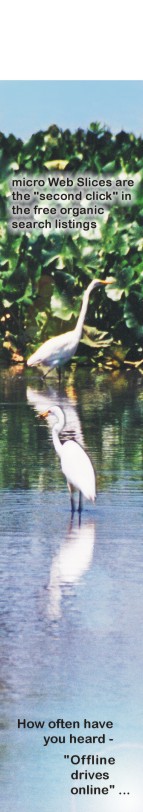 micro Web Slices are the second click